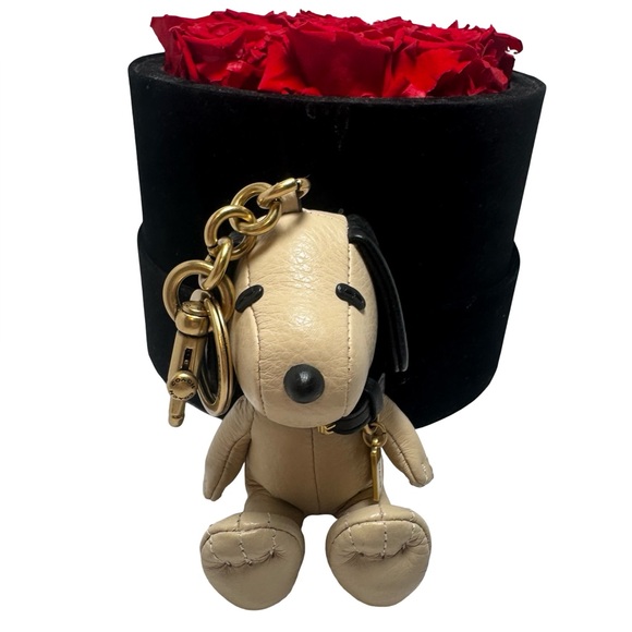 SOLD Coach X Peanuts Snoopy Leather Bag Charm Collector’s Item - Picture 1 of 10